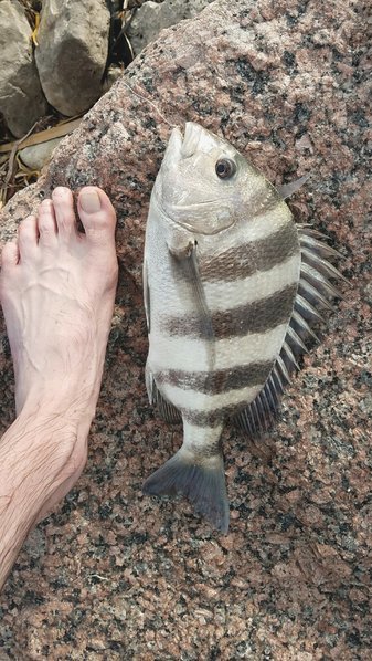 20170411_173430_20170413141141854.jpg