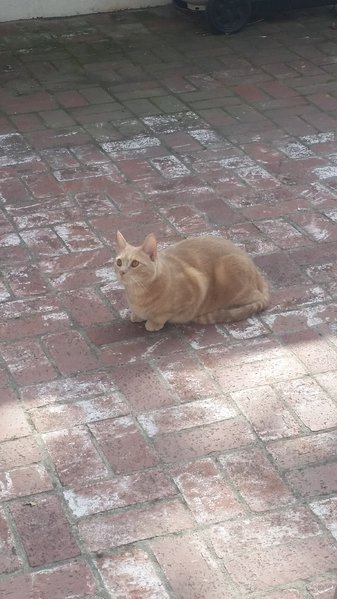 20170413_163440.jpg