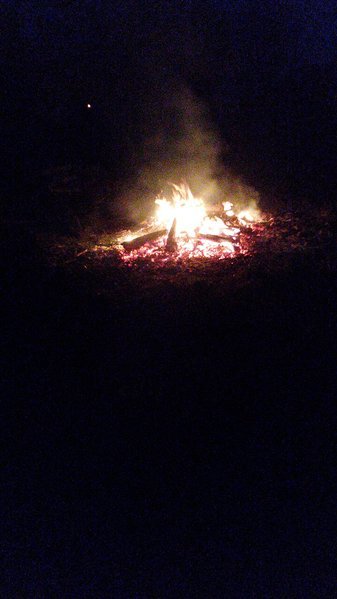 20170414_205526_Burst01.jpg