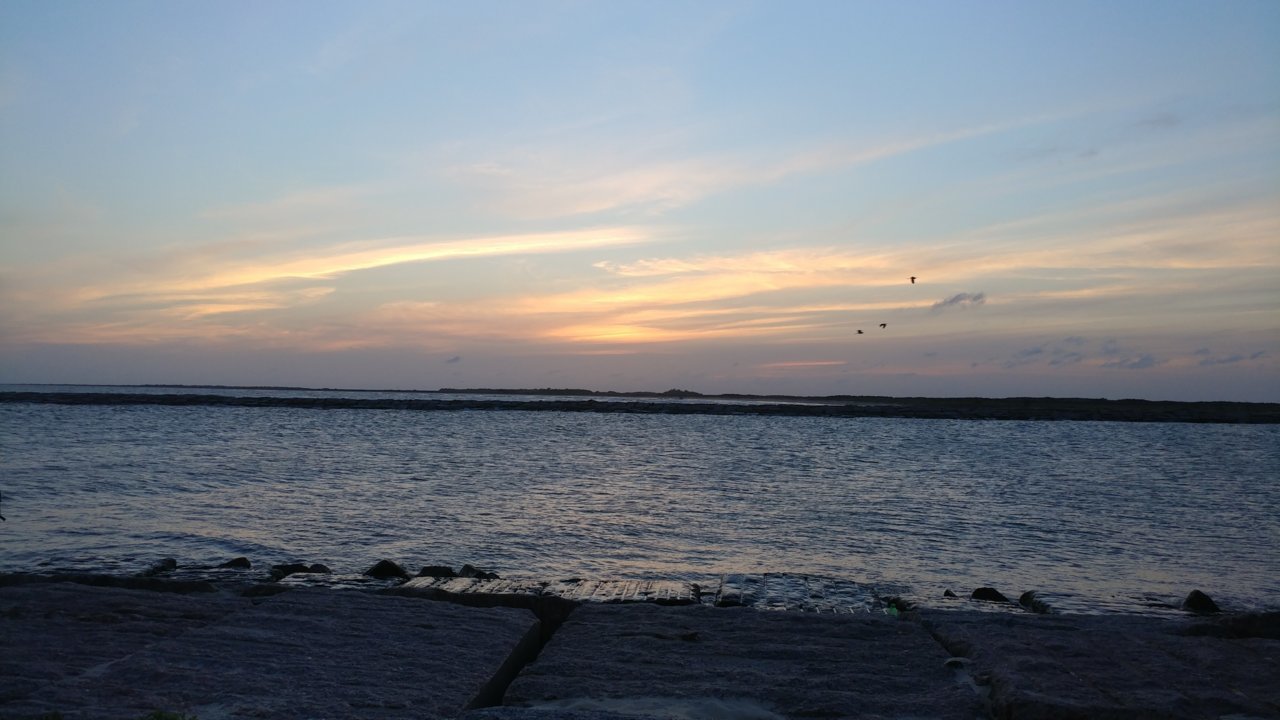 20170415_195048.jpg