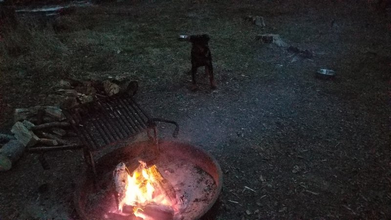 20170415_203421.jpg