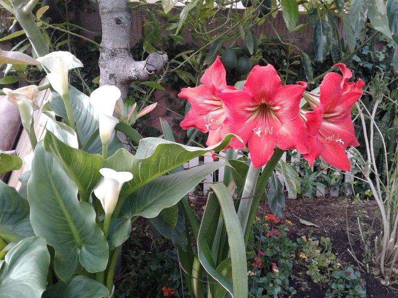 20170416_080836.jpg