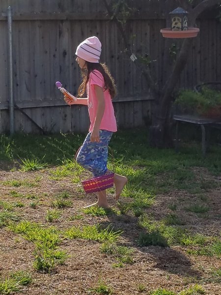 20170416_091551.jpg