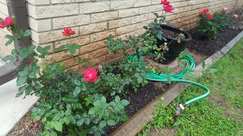 20170417_165526.jpg