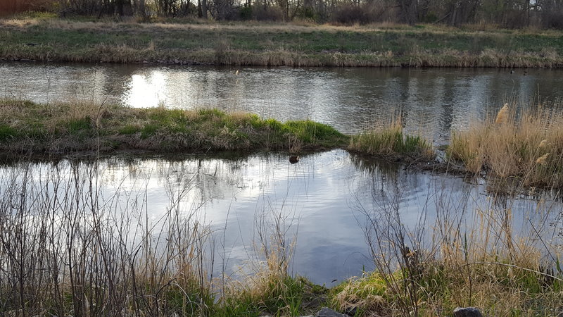 20170417_185106.jpg