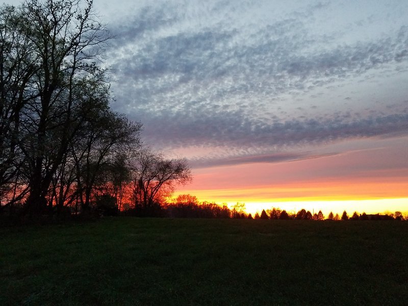 20170417_200210.jpg