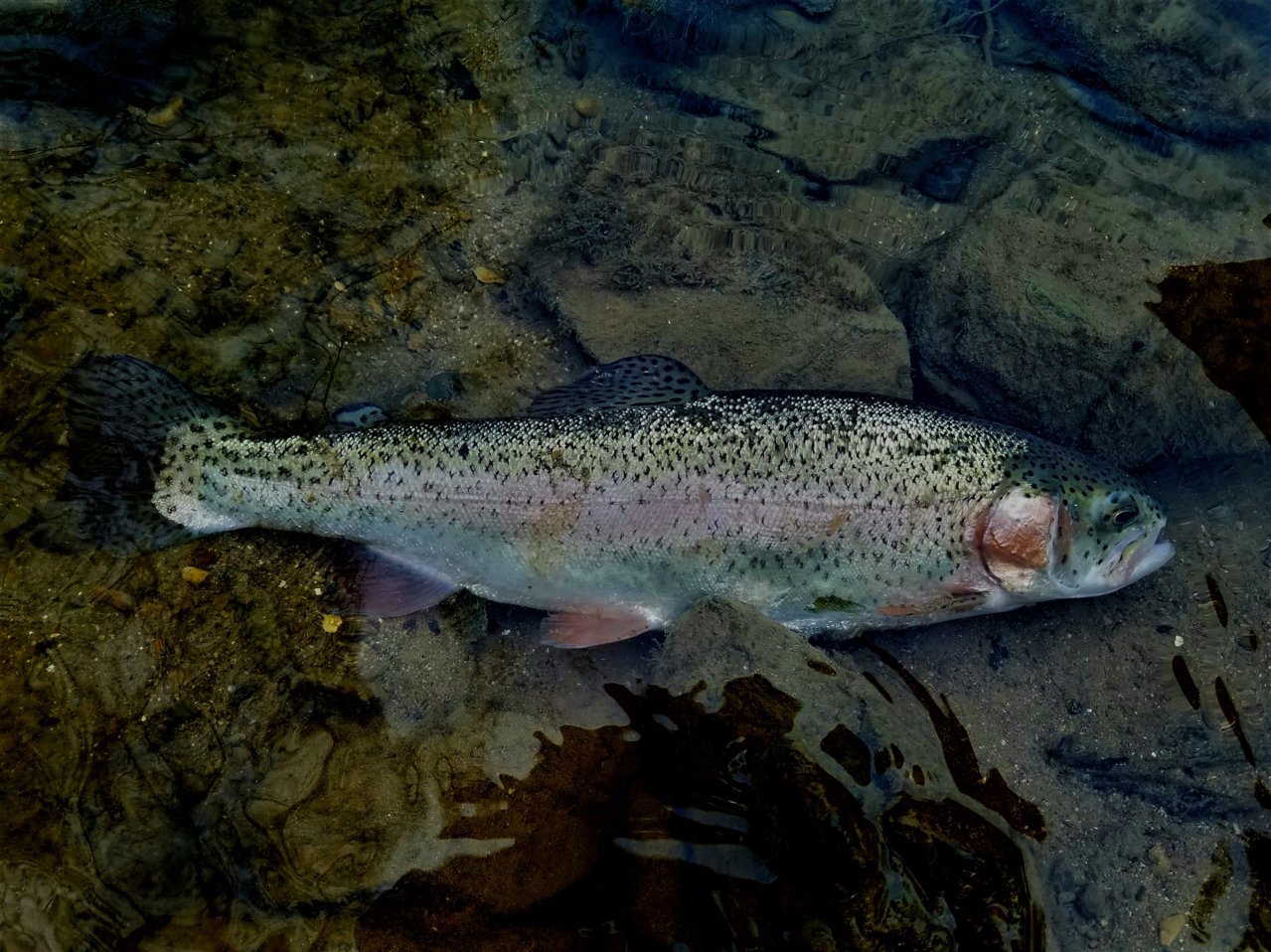 20170421_065114.jpg