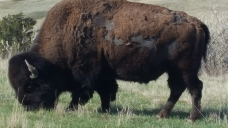 20170421_082923.jpg