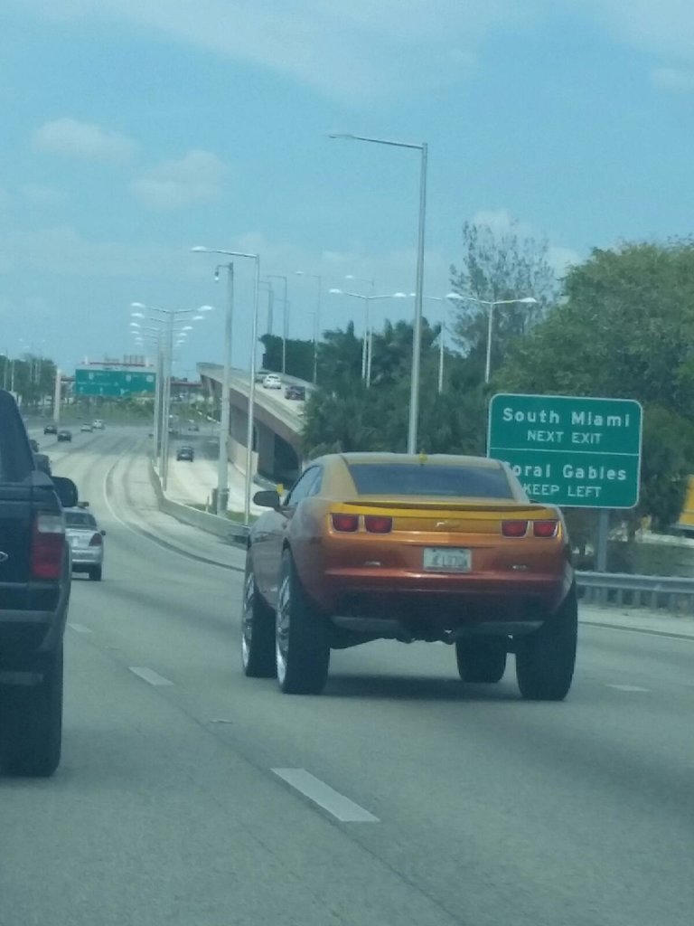 20170421_141733.jpg