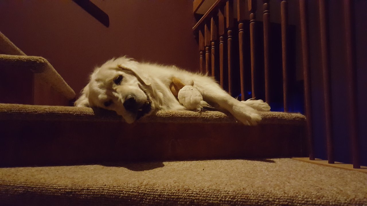 20170421_224935.jpg