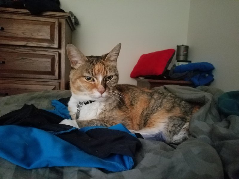 20170422_071303.jpg