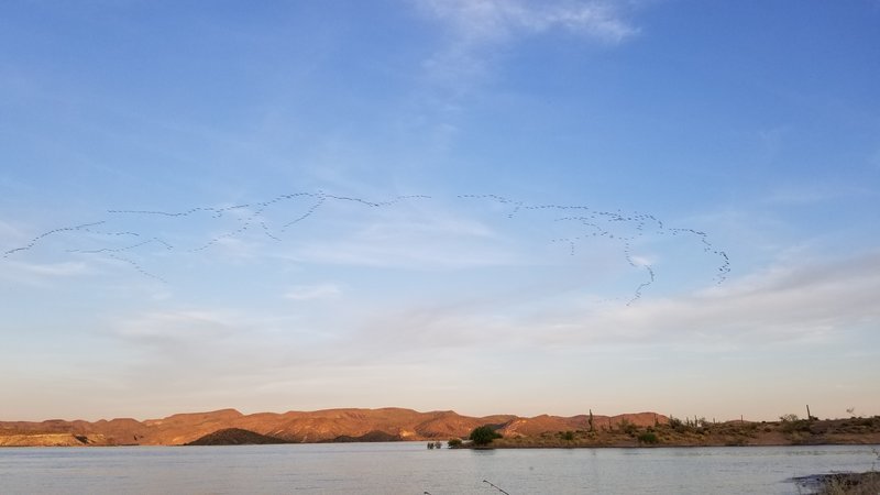 20170422_185240.jpg