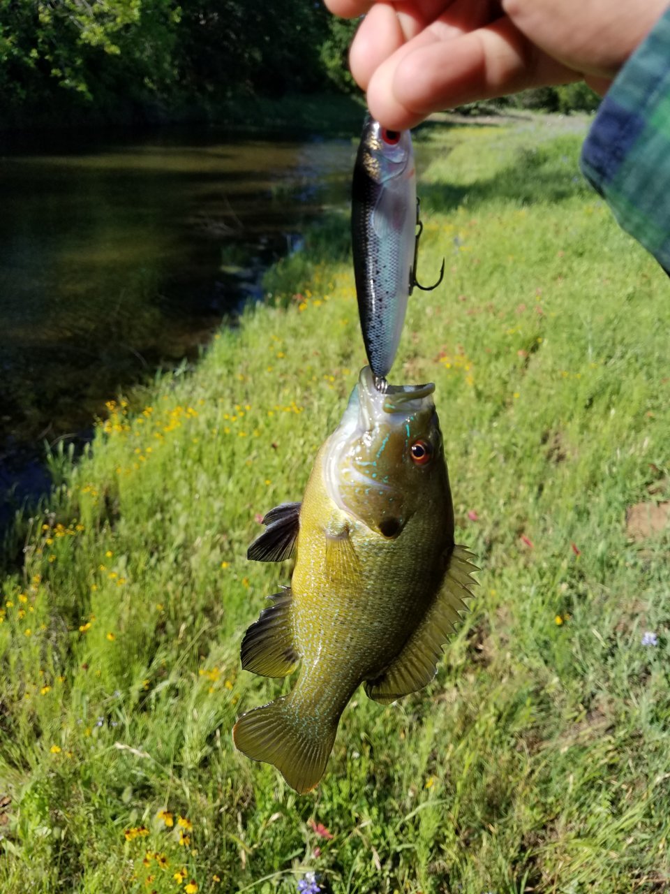 20170423_093518.jpg