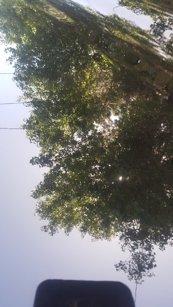 20170423_121439.jpg