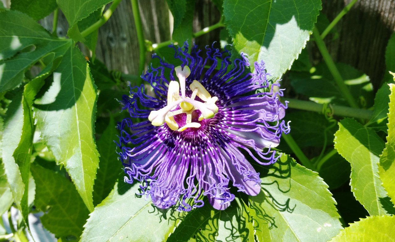 20170423_140917.jpg