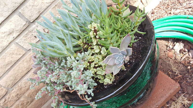 20170424_170356.jpg