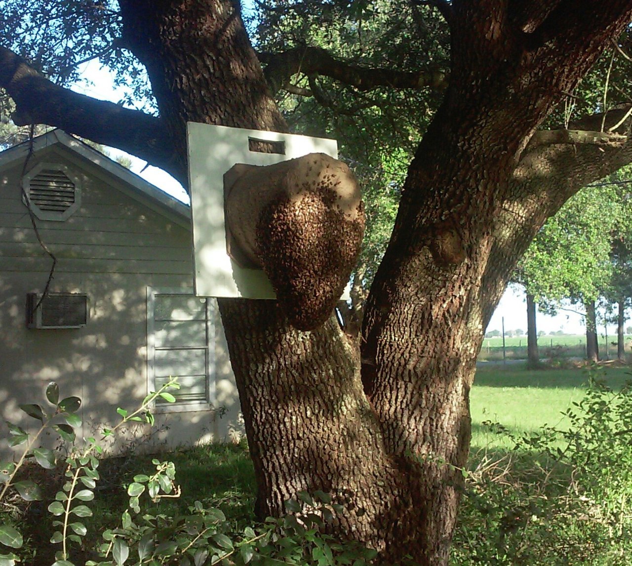 20170425_082115~2.jpg