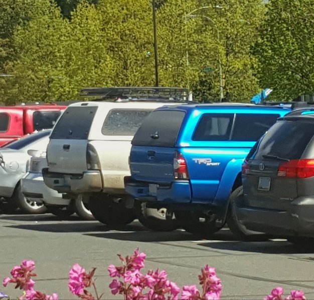 20170427_084412.jpg
