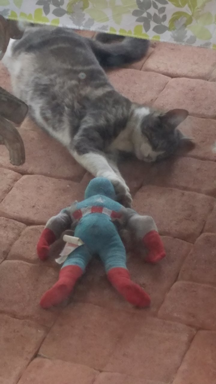 20170428_183403.jpg