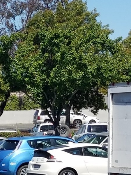 20170429_144613.jpg