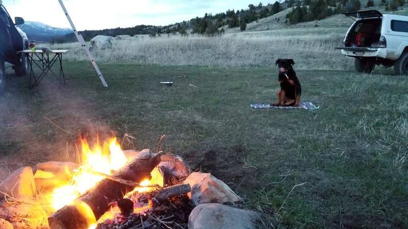 20170429_205338.jpg