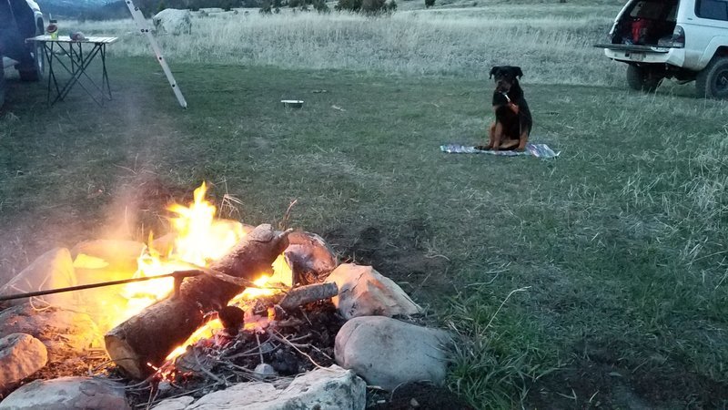 20170429_205346.jpg
