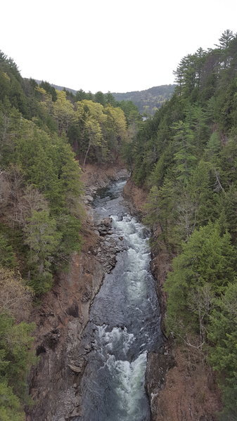 20170430_130501.jpg