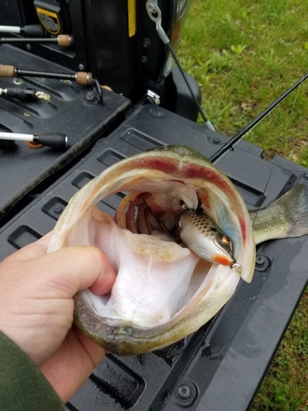 20170501_104110.jpg