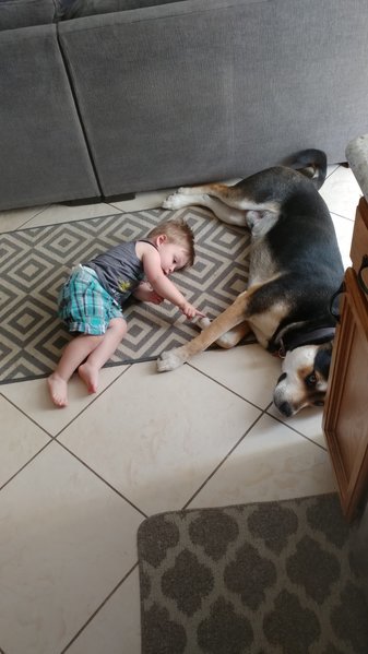 20170501_115314.jpg