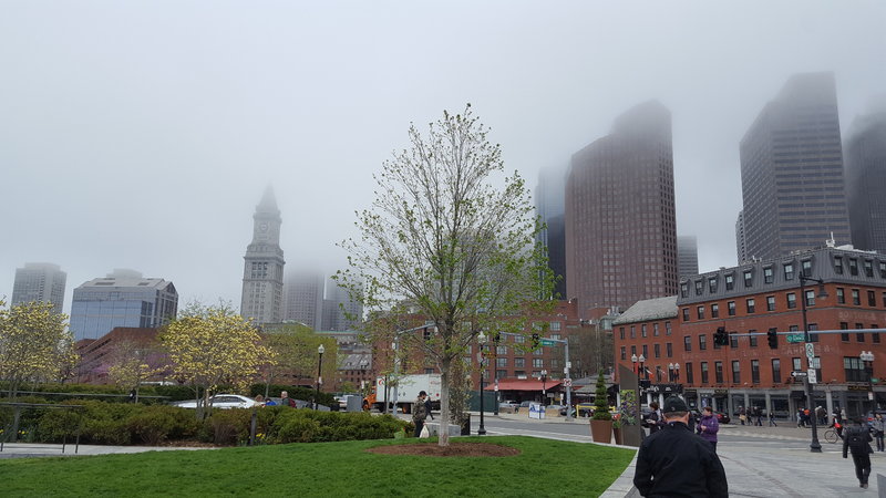 20170501_144115.jpg