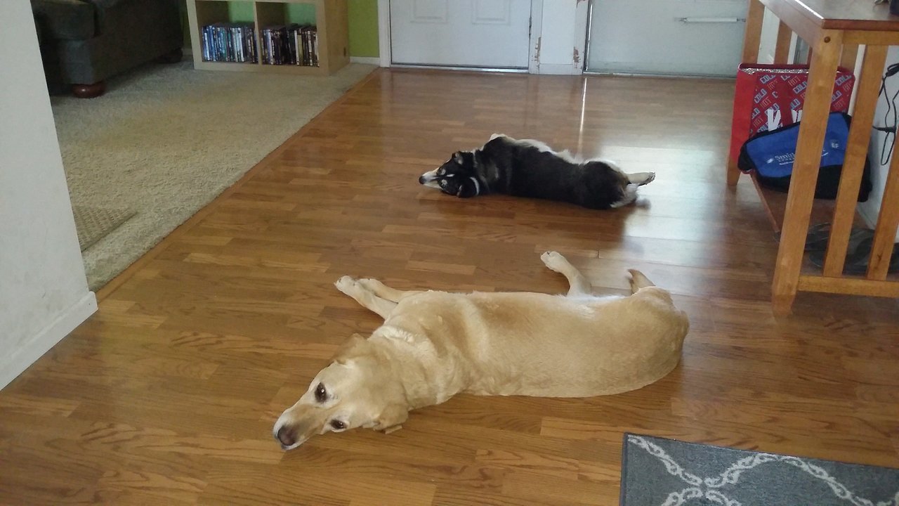 20170502_183132.jpg