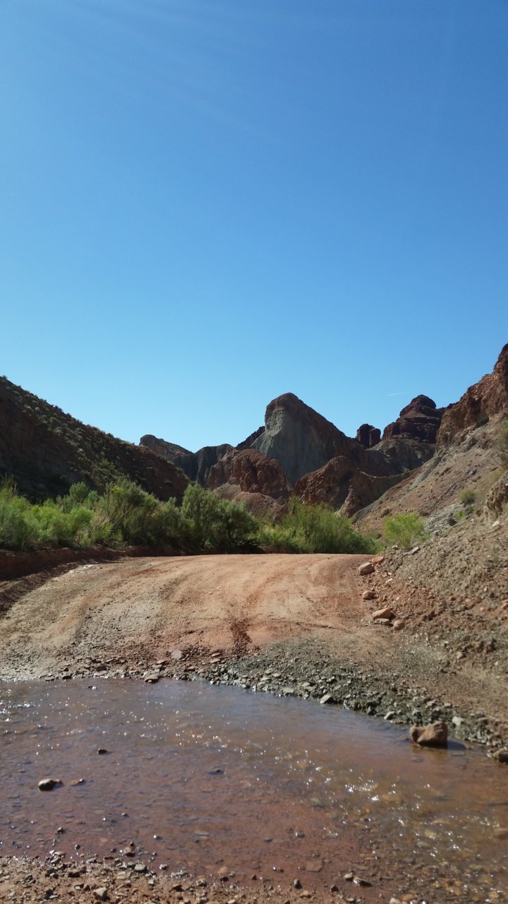 20170504_164453.jpg