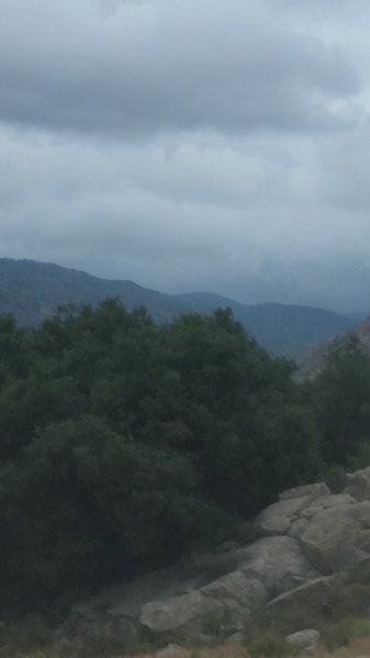 20170506_102224.jpg