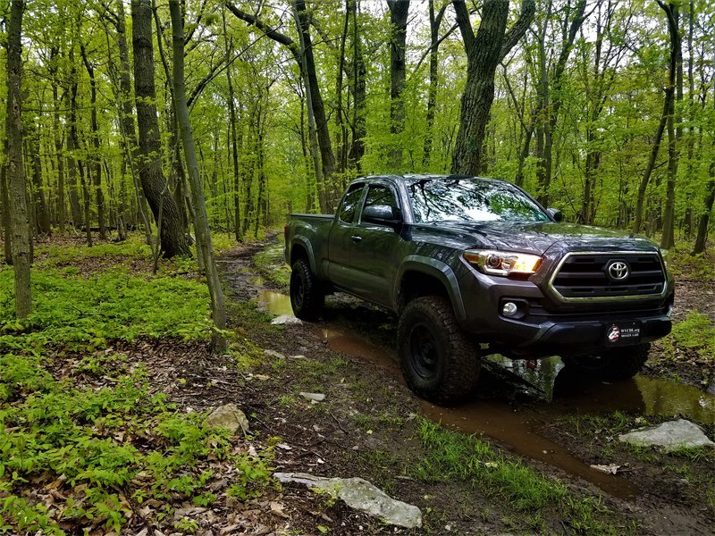20170507_080908 (2).jpg
