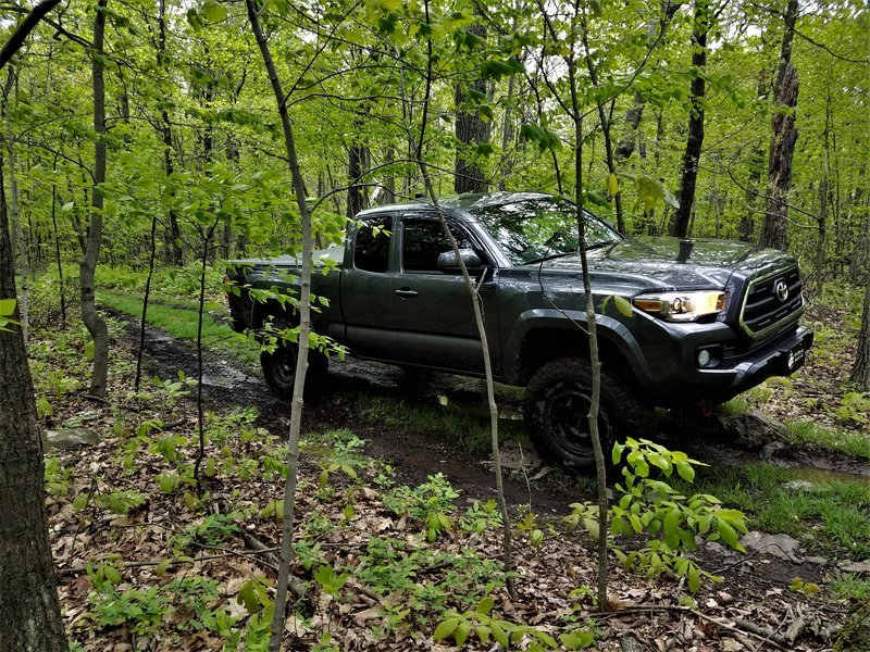 20170507_082502 (2).jpg