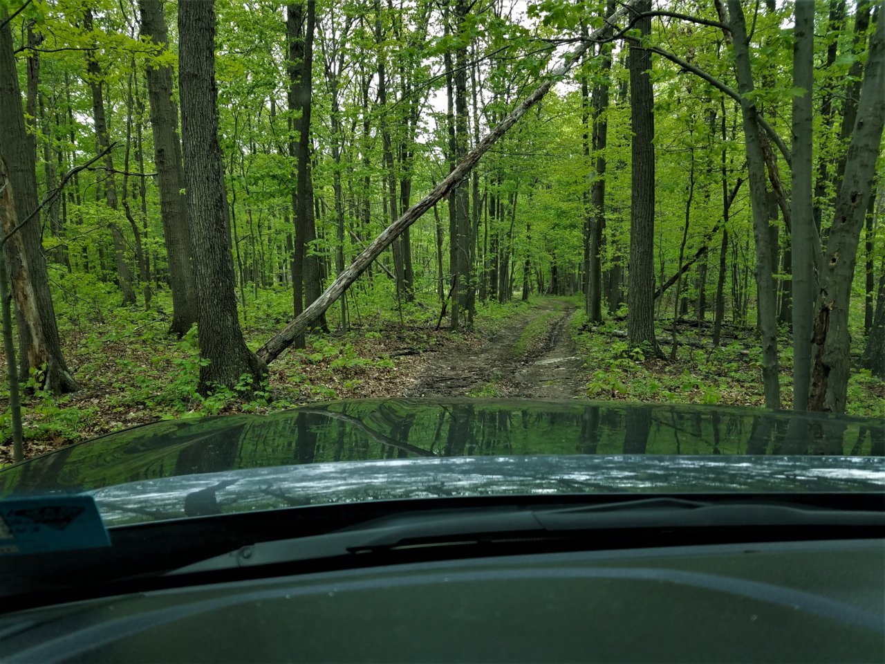 20170507_101058 (2).jpg