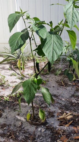 20170507_171523.jpg
