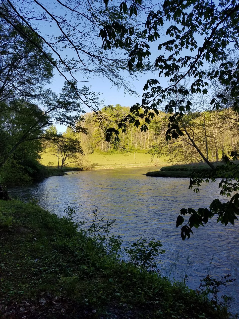 20170508_075415.jpg