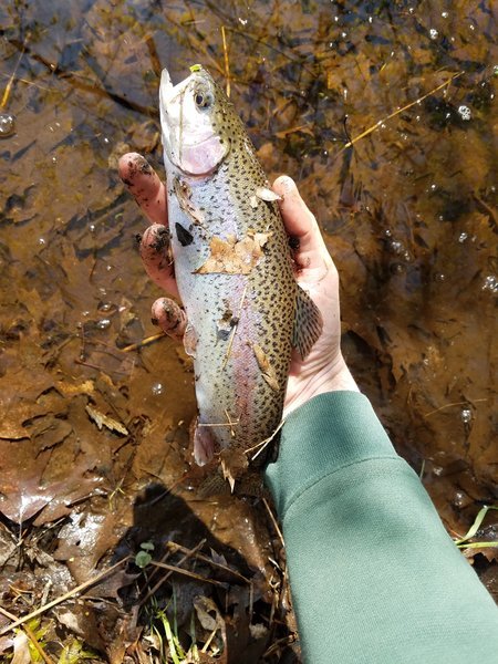 20170509_090840.jpg