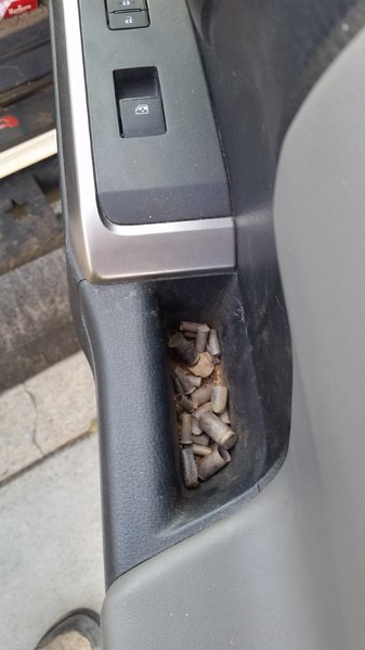 20170511_082344.jpg