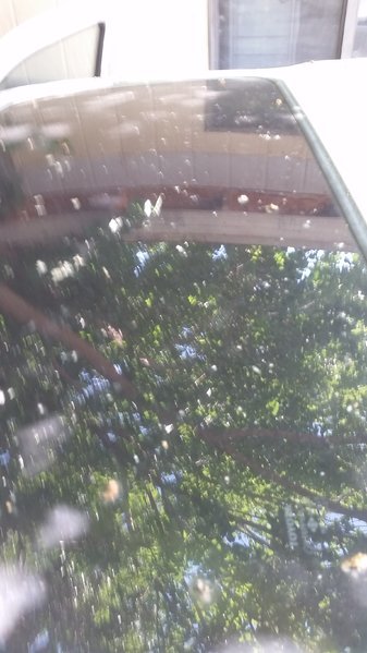 20170511_145936.jpg
