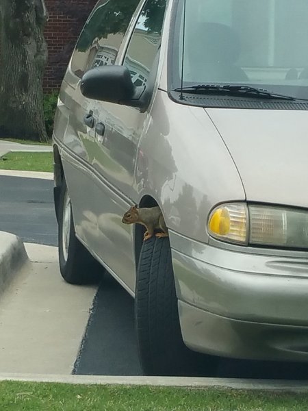 20170511_155908.jpg