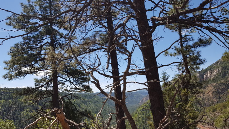 20170512_105755.jpg