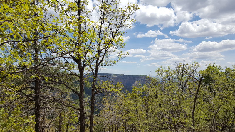 20170512_132827.jpg