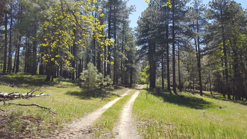 20170513_144551.jpg