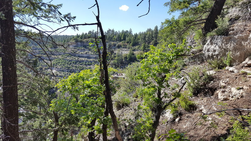 20170513_161228.jpg
