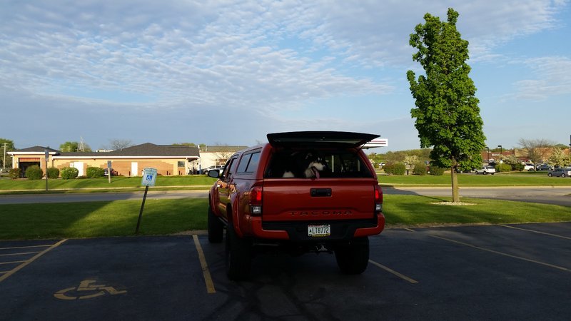20170513_184504.jpg