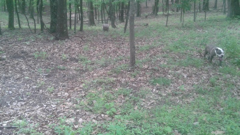 20170514_151247.jpg