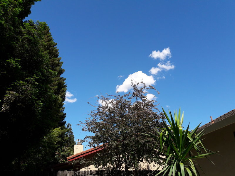 20170514_152209.jpg