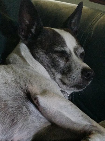 20170516_101621.jpg